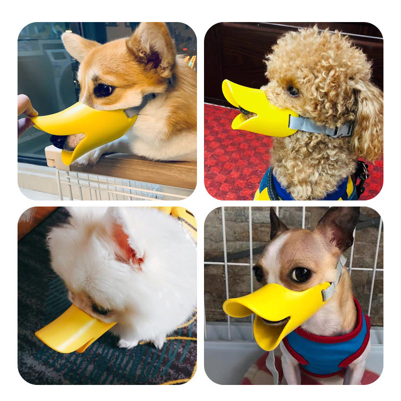 KOLAW Duckbill Dog Muzzle - Adjustable Silicone Mouth Cover to Help Deter Barking & Biting for Small to Medium Dogs