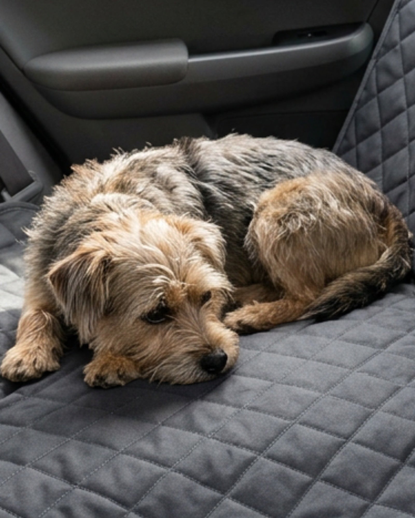 Kolaw Foldable Pet Travel Mat Charcoal 24 x 18 in