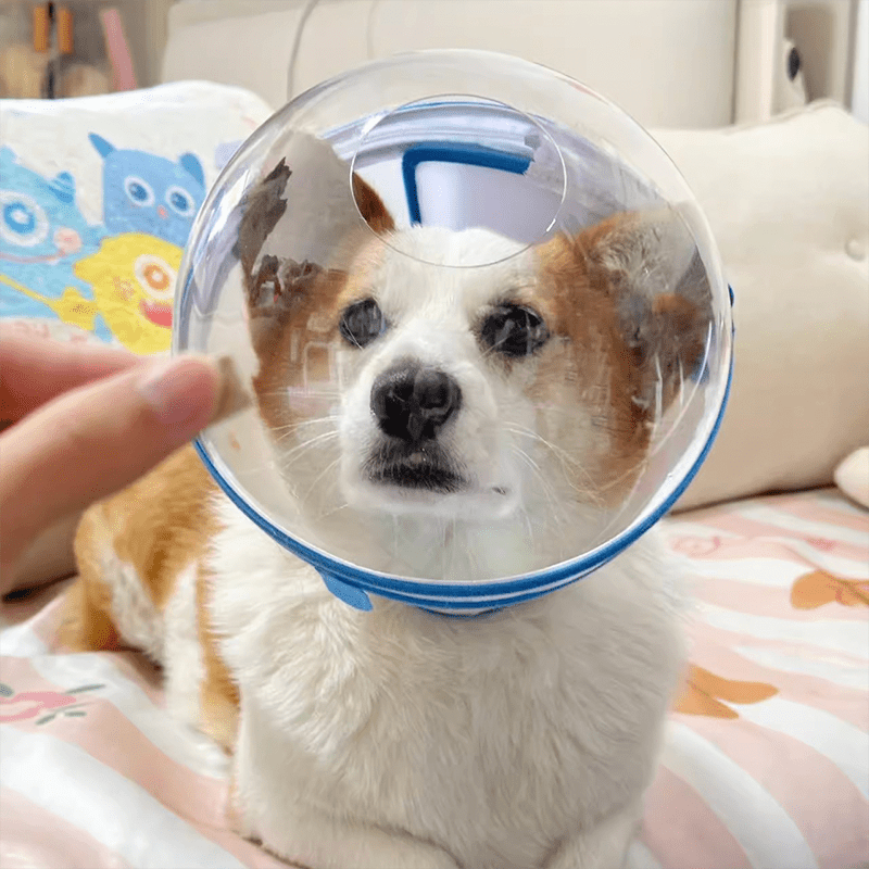 KOLAW Breathable Mesh Pet Grooming Mask - Adjustable Soft Protective Face Cover for Dogs & Cats Behavior Training & Nail Trimming