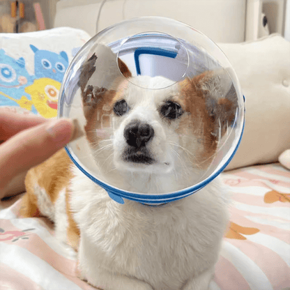 KOLAW Breathable Mesh Pet Grooming Mask - Adjustable Soft Protective Face Cover for Dogs & Cats Behavior Training & Nail Trimming