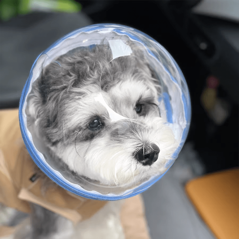 KOLAW Breathable Mesh Pet Grooming Mask - Adjustable Soft Protective Face Cover for Dogs & Cats Behavior Training & Nail Trimming