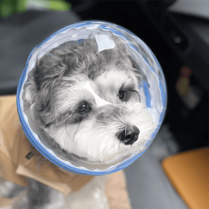 KOLAW Breathable Mesh Pet Grooming Mask - Adjustable Soft Protective Face Cover for Dogs & Cats Behavior Training & Nail Trimming